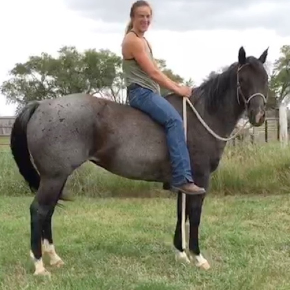 Meet your Posher, Haley